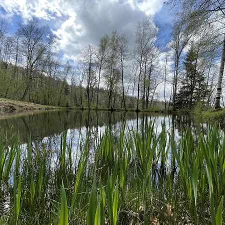 Romantique En Pleine Nature Avec Etang Privatif Et Cheminee - Fr-1-489-447 Châtel-Montagne
