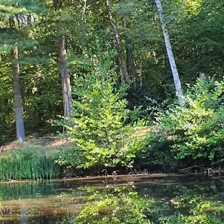 Σπίτι διακοπών Ecrin De Verdure Pour Couple Avec Parking - Fr-1-489-447 Châtel-Montagne